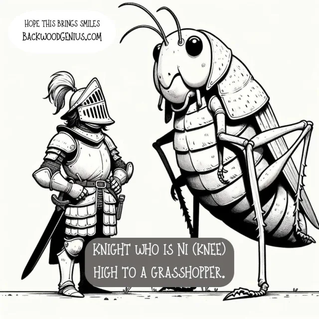 A Very Small Knight, Facing Big Problems