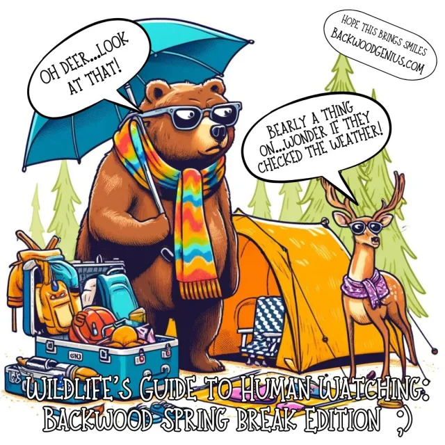 Bear Forecast — BackwoodGenius original illustration